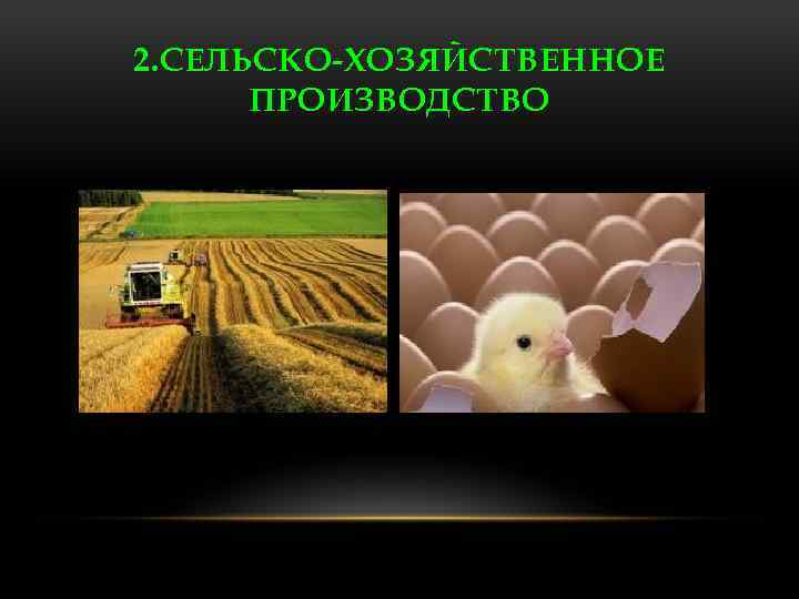 2. СЕЛЬСКО-ХОЗЯЙСТВЕННОЕ ПРОИЗВОДСТВО 