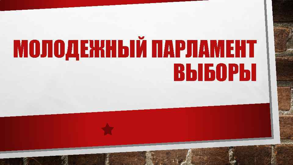 МОЛОДЕЖНЫЙ ПАРЛАМЕНТ ВЫБОРЫ 