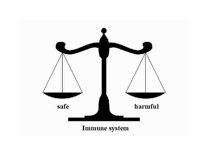safe harmful Immune system 