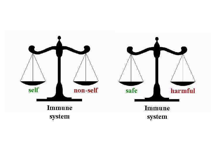 self non-self Immune system safe harmful Immune system 