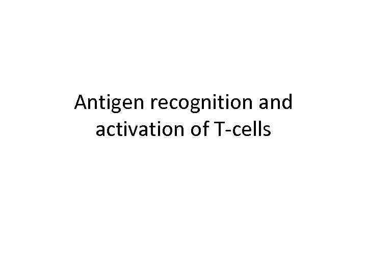 Antigen recognition and activation of T-cells 