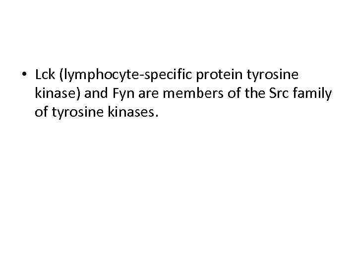  • Lck (lymphocyte-specific protein tyrosine kinase) and Fyn are members of the Src