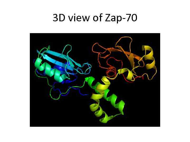 3 D view of Zap-70 