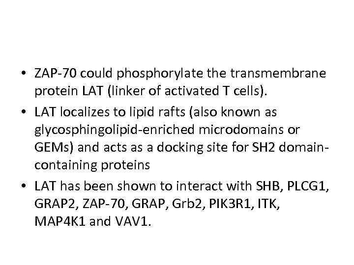  • ZAP-70 could phosphorylate the transmembrane protein LAT (linker of activated T cells).