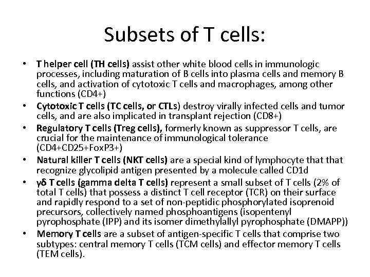 Subsets of T cells: • T helper cell (TH cells) assist other white blood