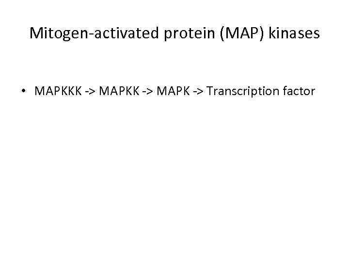 Mitogen-activated protein (MAP) kinases • MAPKKK -> MAPK -> Transcription factor 