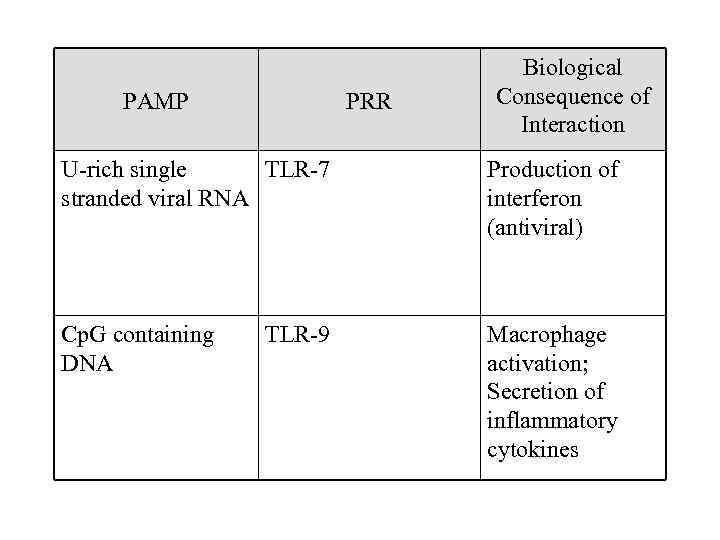 PAMP PRR Biological Consequence of Interaction U-rich single TLR-7 stranded viral RNA Production of