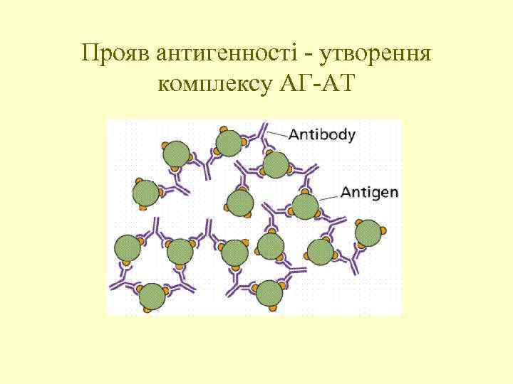 Прояв антигенності - утворення комплексу АГ-АТ 