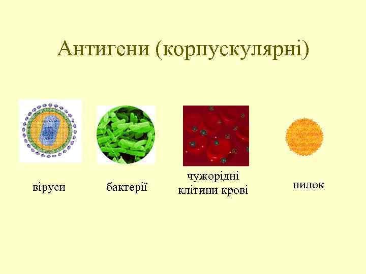 Антигени (корпускулярні) віруси бактерії чужорідні клітини крові пилок 