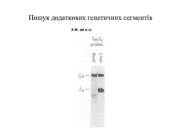 Пошук додаткових генетичних сегментів 