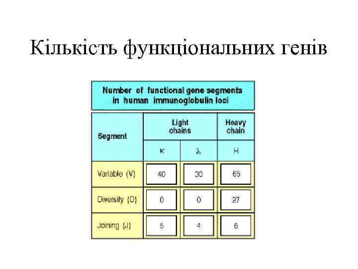 Кількість функціональних генів 