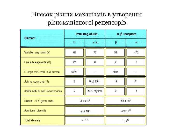 Внесок різних механізмів в утворення різноманітності рецепторів 