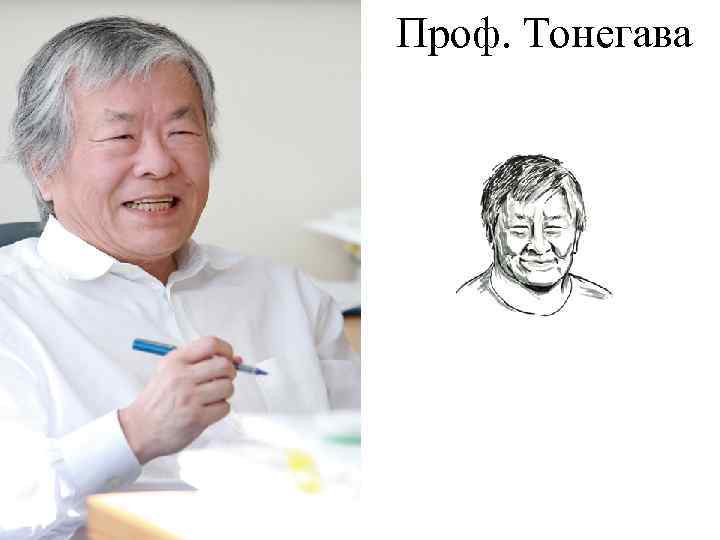 Проф. Тонегава 