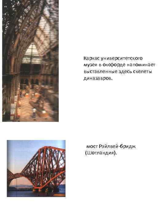 Каркас университетского музея в оксфорде напоминает выставленные здесь скелеты диназавров. мост Рэйлвей-бридж (Шотландия). 