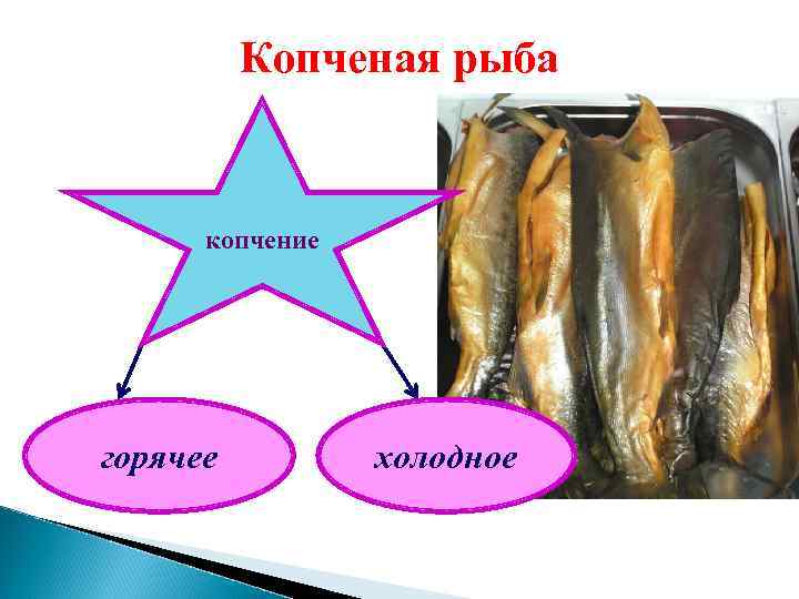 Микробиология рыбных продуктов презентация