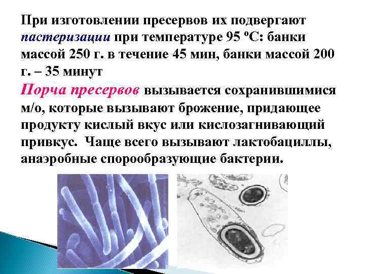 Микробиология рыбных продуктов презентация