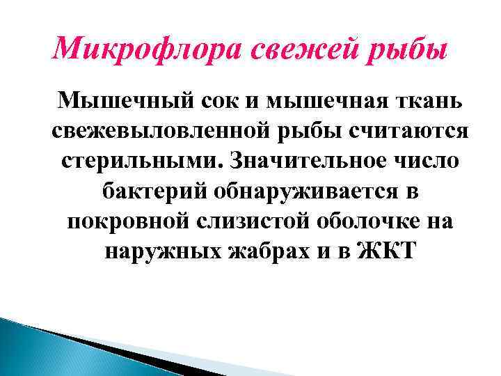 Микрофлора свежей рыбы Мышечный сок и мышечная ткань свежевыловленной рыбы считаются стерильными. Значительное число