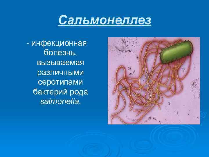 Сальмонеллез - инфекционная болезнь, вызываемая различными серотипами бактерий рода salmonella. 