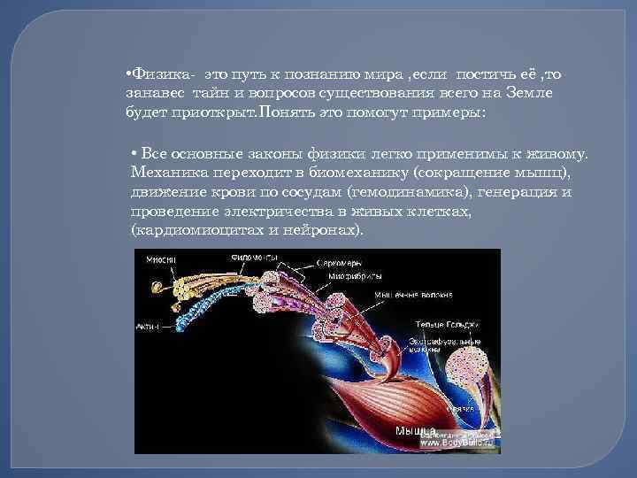  • Физика- это путь к познанию мира , если постичь её , то