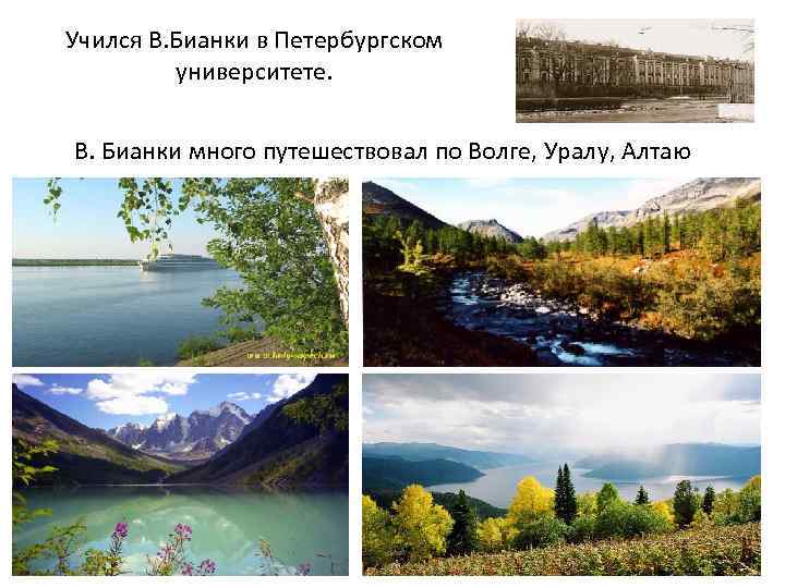 Учился В. Бианки в Петербургском университете. В. Бианки много путешествовал по Волге, Уралу, Алтаю