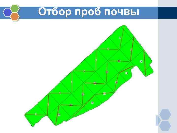 Отбор проб почвы 