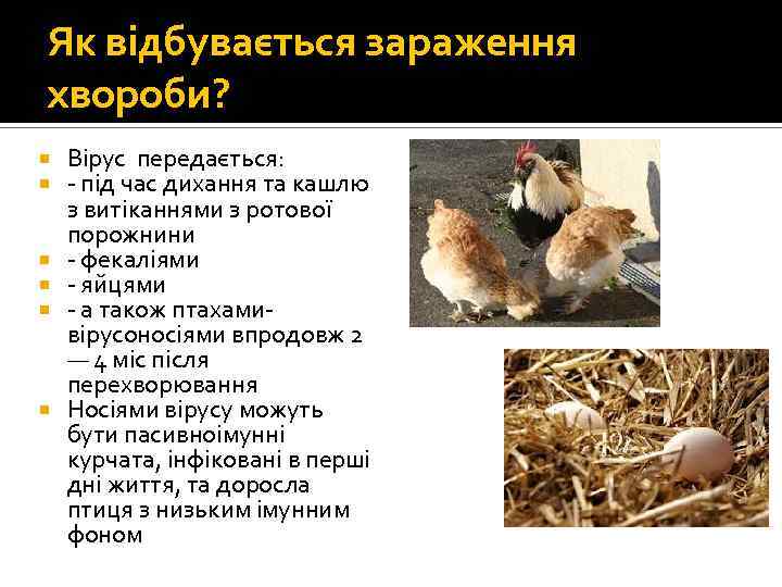 Як відбувається зараження хвороби? Вірус передається: - під час дихання та кашлю з витіканнями