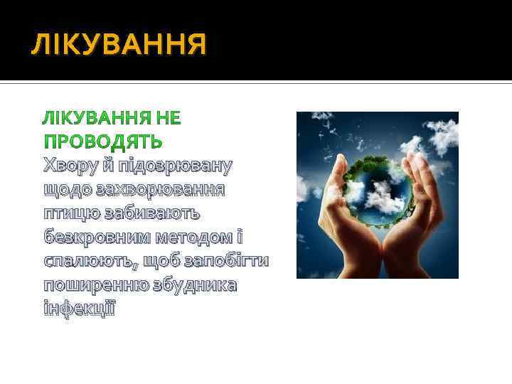 ЛІКУВАННЯ Хвору й підозрювану щодо захворювання птицю забивають безкровним методом і спалюють, щоб запобігти