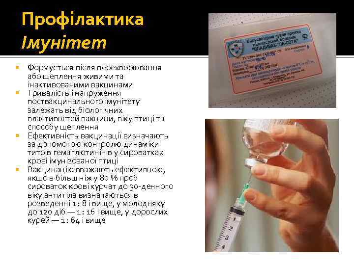 Профілактика Імунітет Формується після перехворювання або щеплення живими та інактивованими вакцинами Тривалість і напруження