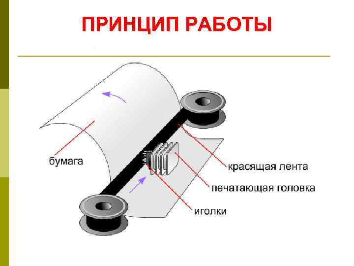 ПРИНЦИП РАБОТЫ 