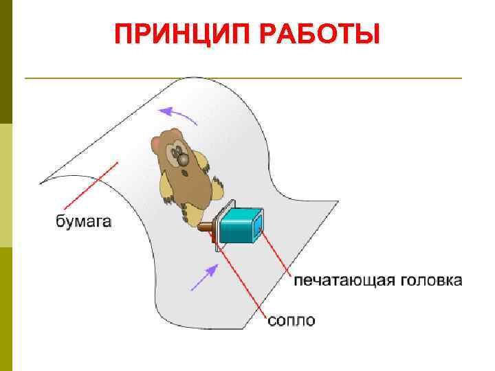 ПРИНЦИП РАБОТЫ 