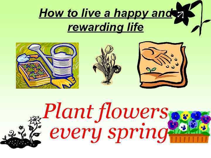 How to live a happy and rewarding life Plant flowers every spring 