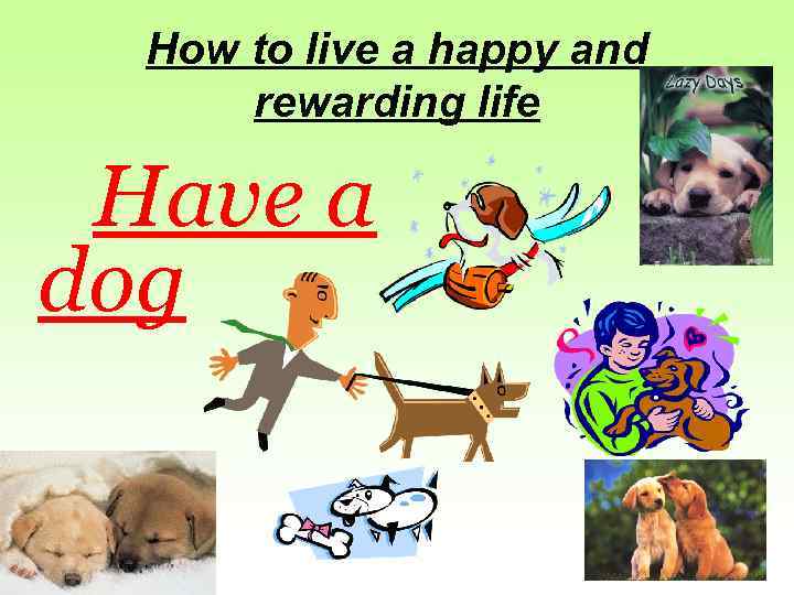 How to live a happy and rewarding life Have a dog 