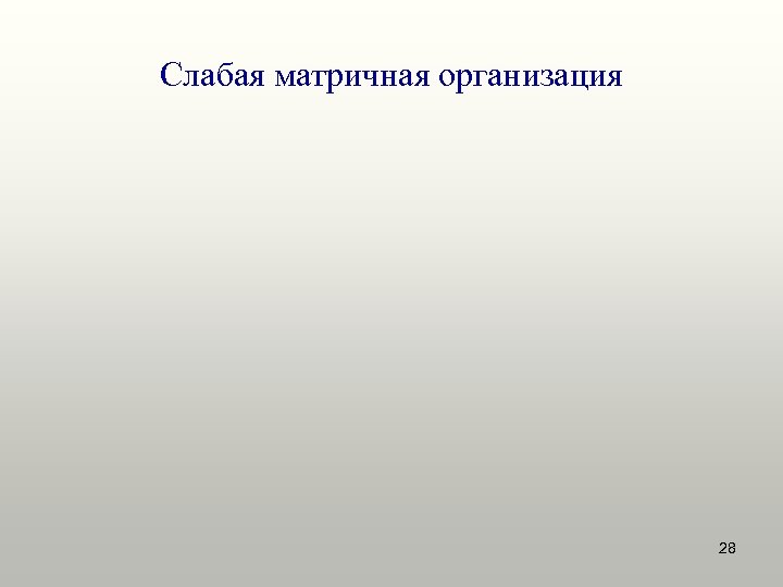 Слабая матричная организация 28 