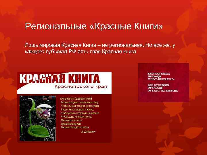 Региональные «Красные Книги» Лишь мировая Красная Книга – не региональная. Но все же, у