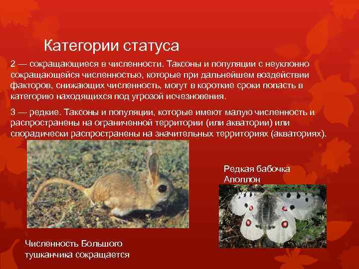 Категории статуса 2 — сокращающиеся в численности. Таксоны и популяции с неуклонно сокращающейся численностью,