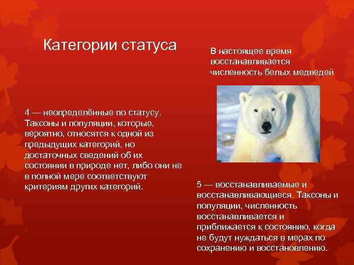 Категории статуса 4 — неопределённые по статусу. Таксоны и популяции, которые, вероятно, относятся к