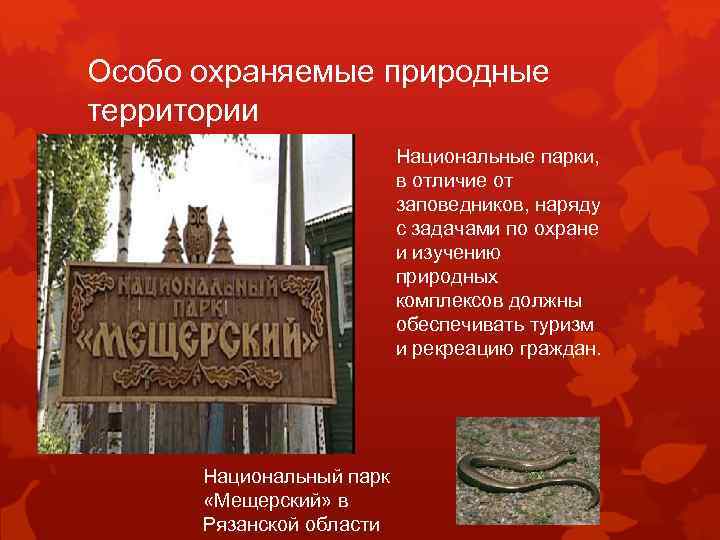 Особо охраняемые природные территории Национальные парки, в отличие от заповедников, наряду с задачами по