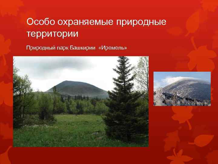 Особо охраняемые природные территории Природный парк Башкирии «Иремель» 