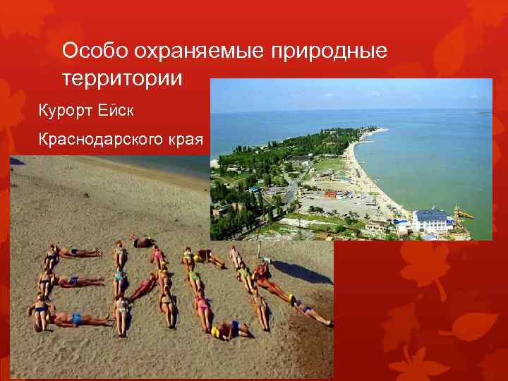 Особо охраняемые природные территории Курорт Ейск Краснодарского края 