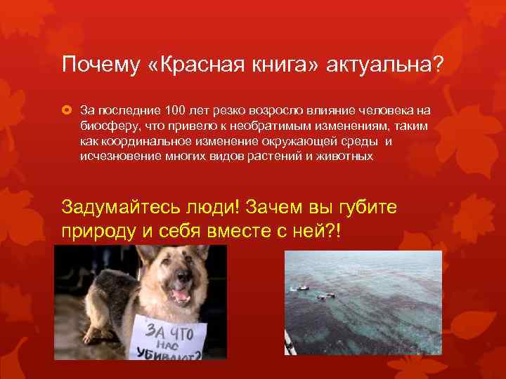 Почему «Красная книга» актуальна? За последние 100 лет резко возросло влияние человека на биосферу,