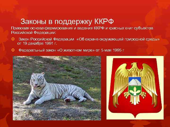 Законы в поддержку ККРФ Правовая основа формирования и ведения ККРФ и красных книг субъектов