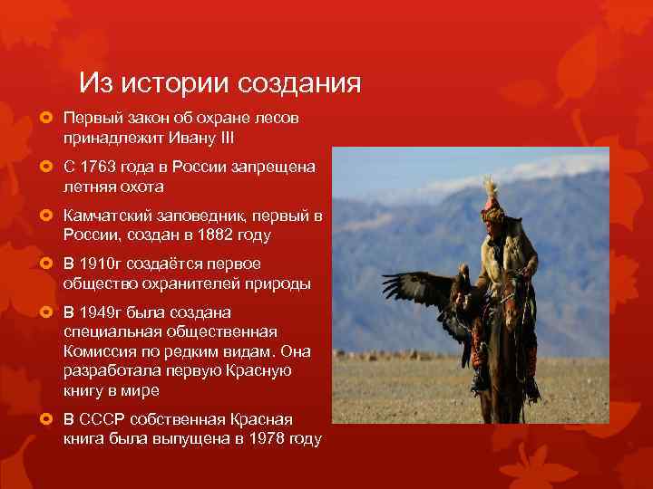 Из истории создания Первый закон об охране лесов принадлежит Ивану III С 1763 года