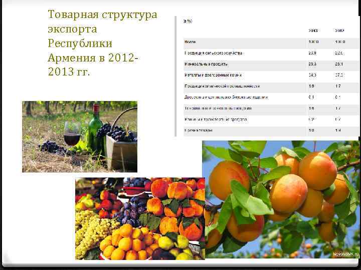 Товарная структура экспорта Республики Армения в 20122013 гг. 