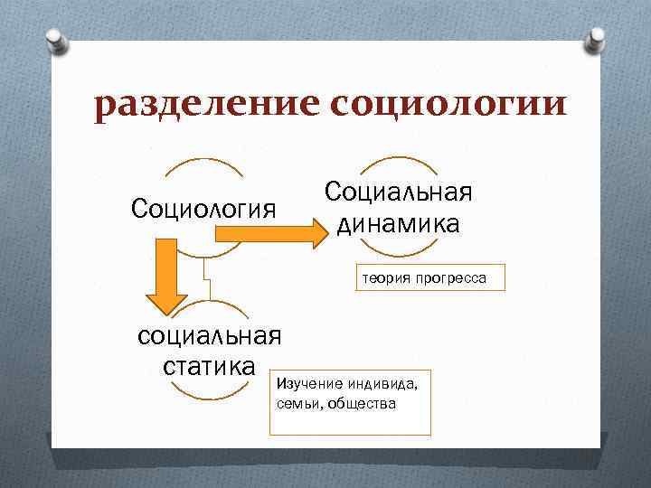 разделение социологии Социология Социальная динамика теория прогресса социальная статика Изучение индивида, семьи, общества 