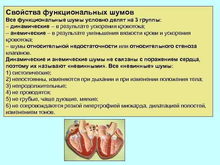 Свойства функциональных шумов Все функциональные шумы условно делят на 3 группы: – динамические –