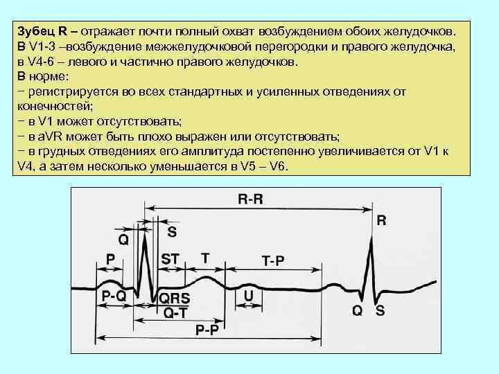 Зубец R – отражает почти полный охват возбуждением обоих желудочков. В V 1 -3