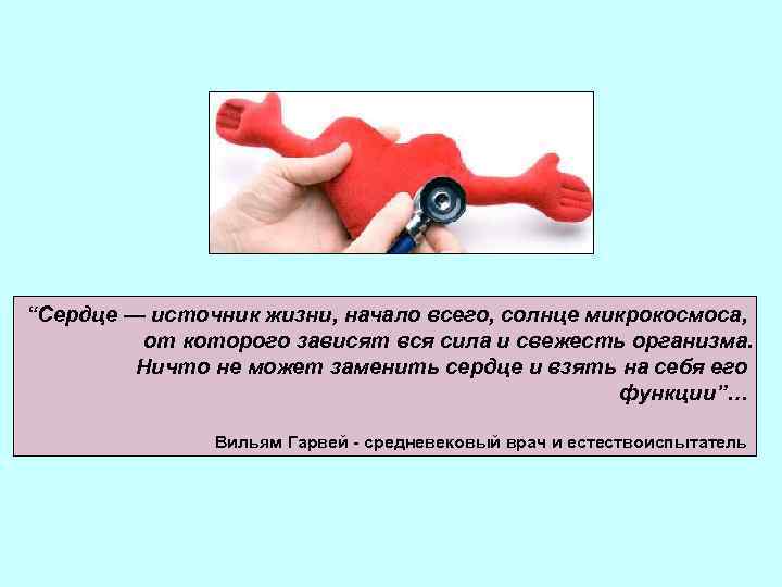 “Сердце — источник жизни, начало всего, солнце микрокосмоса, от которого зависят вся сила и