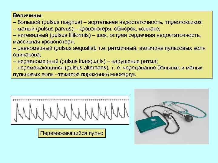 Величины: – большой (pulsus magnus) – аортальная недостаточность, тиреотоксикоз; – малый (pulsus parvus) –