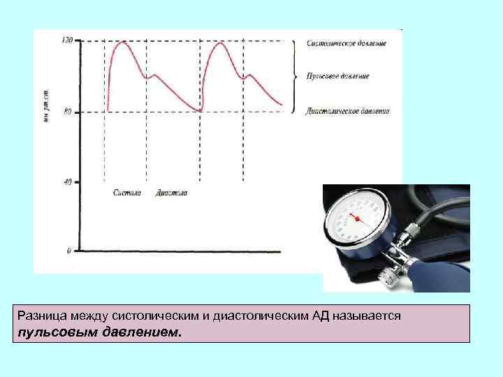 Разница между систолическим и диастолическим АД называется пульсовым давлением. 
