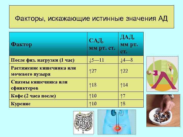 Факторы, искажающие истинные значения АД Фактор ДАД, САД, мм рт. ст. После физ. нагрузки